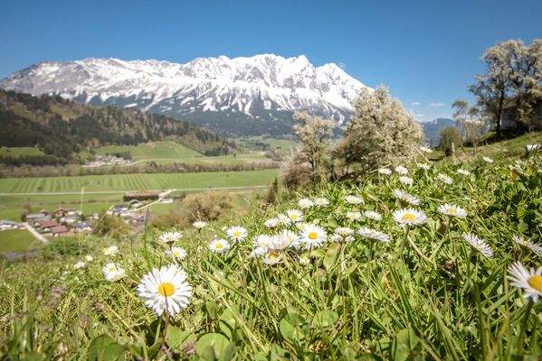 CHF_20170430_105836-2