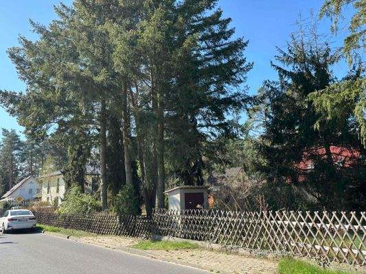 Blick von der Wagnerstrasse