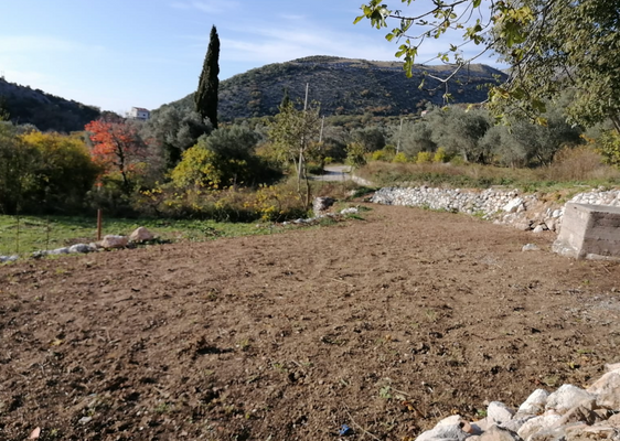 Bildschirmfoto 2025-07-02 um 19.53.02.png