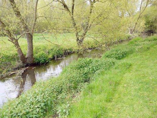 Idyllischer Bachlauf