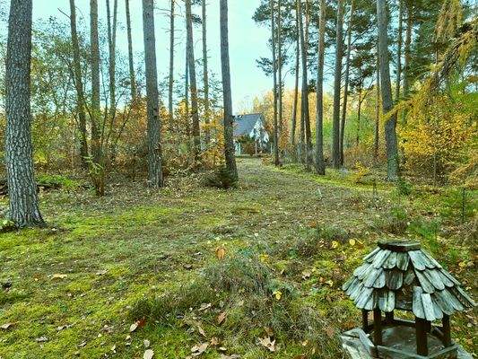 04 Weg zum Bungalow.jpg