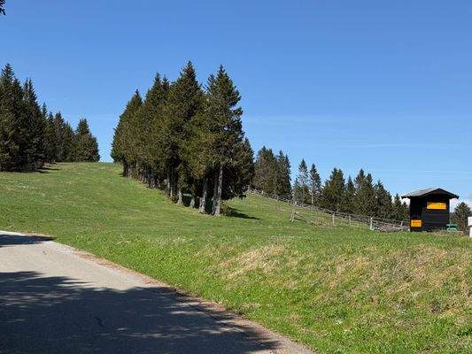 Skipiste vor Wohnung.jpg