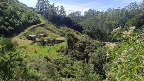 Rio dos Cedros Bauernhöfe, Landwirtschaft, Rio dos Cedros Forstwirtschaft