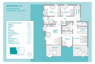 bollcastello_w1.5_2025_1