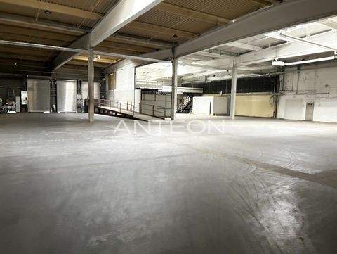 Gelsenkirchen Halle, Gelsenkirchen Hallenfläche