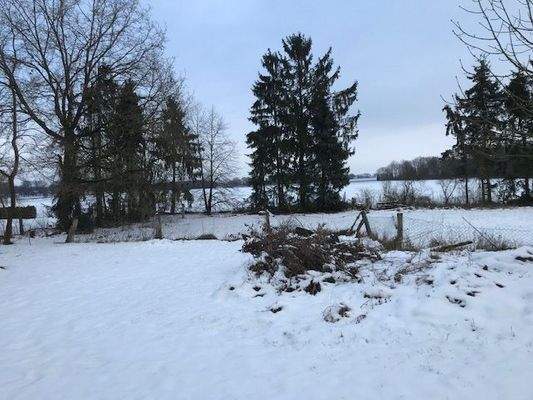 Blick aufs Grundstück  