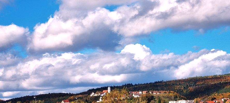 Blick auf die Altstadt