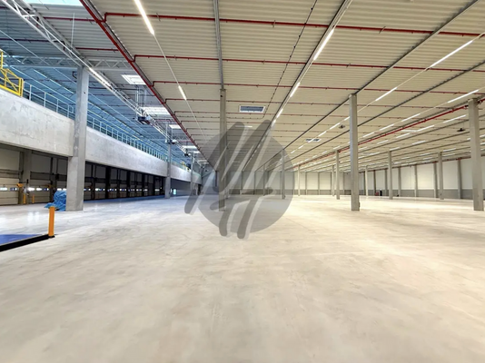 INFOS UNTER: 06171-586000