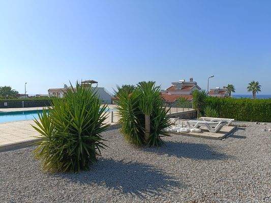 WhatsApp Bild 2024-02-21 um 14.09.45_20d2c8af.jpeg