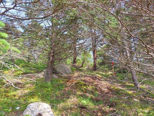 Nova Scotia - Guysborough County - Herrliche Atlan