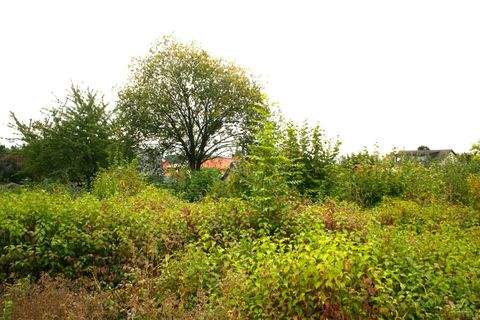 Osterwieck Grundstücke, Osterwieck Grundstück kaufen