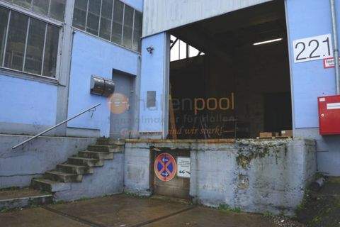 Neuwied Halle, Neuwied Hallenfläche