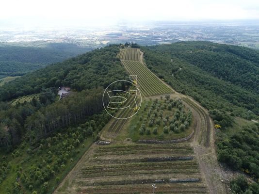 Luxus Anwesen | Civitella in Val di Chiana