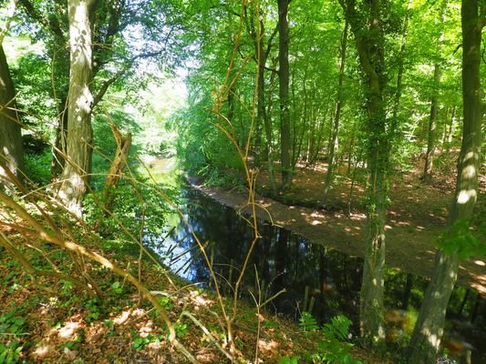 Blick auf die Ammersbek