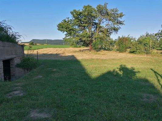 received_2904398799865226