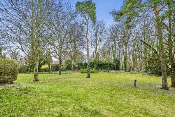 Weitläufiges, parkähnliches Gartenareal (ca. 8000m²) mit beeindruckenden Baumbestand