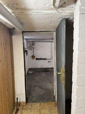 WhatsApp Image 2026-03-09 at 02.28.56 (12).jpeg