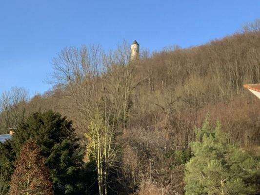 Aussicht zur Burg Plesse