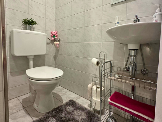 Gäste - WC – Hauptwohnung 