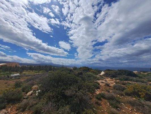 Kreta, Skaleta: Riesiges Grundstück zum Verkauf - ideal für touristische Investitionen!