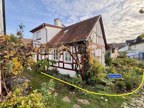 Offenbach am Main Häuser, Offenbach am Main Haus mieten 