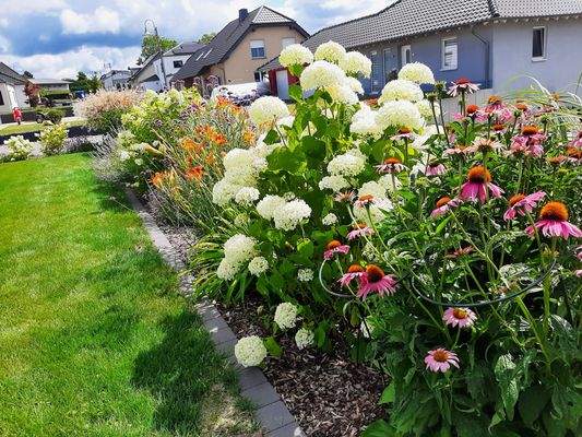Sommerblumen an der Strassenseite