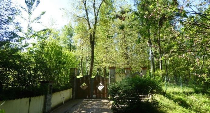 Bild 16