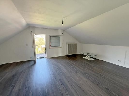 Zimmer DG