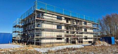 Stralsund Wohnungen, Stralsund Wohnung mieten