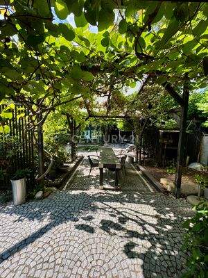 Blick aus dem Wohnbereich in den Garten