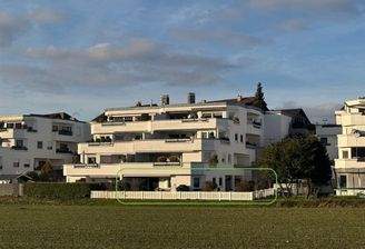 Terrassenhaus- Grün umrandet