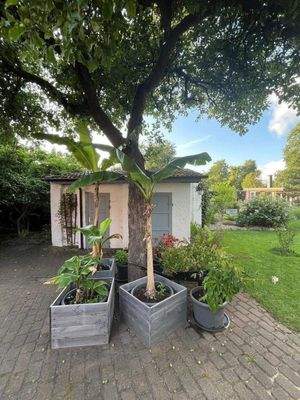 Gartenhäuschen mit Freisitz