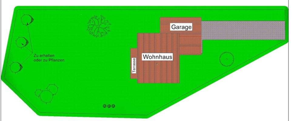 Plan Freifläche.jpg