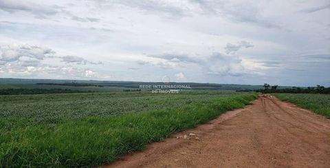 Assis Häuser, Assis Haus kaufen