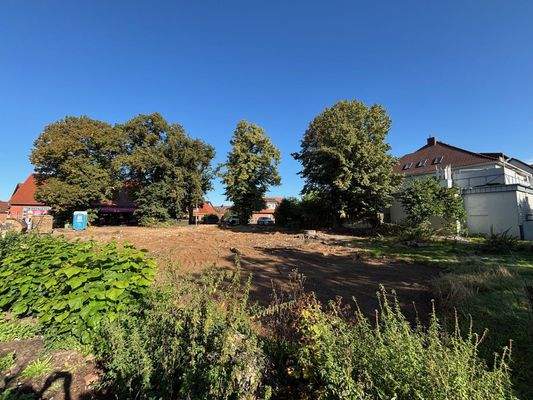 Grundstück mit altem Baumbestand