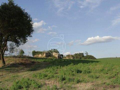 Asciano Häuser, Asciano Haus kaufen