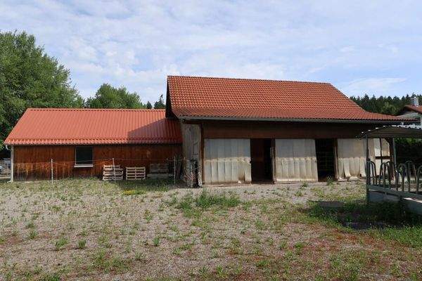 Wiese/Koppel südseitig