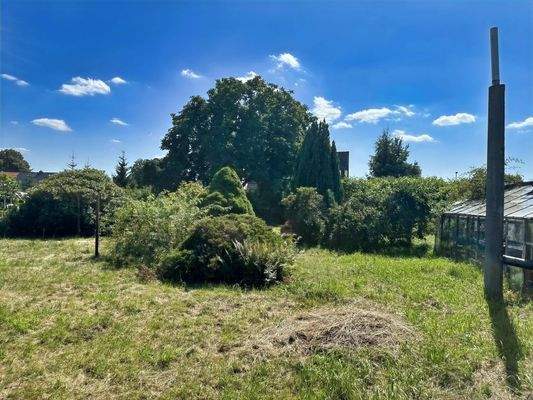 Hinterer Teil des Grundstücks