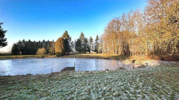 Grundstück mit Teich