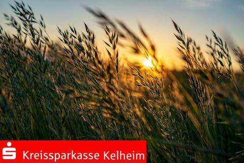 Altmannstein Bauernhöfe, Landwirtschaft, Altmannstein Forstwirtschaft