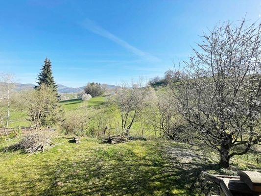 Der Garten