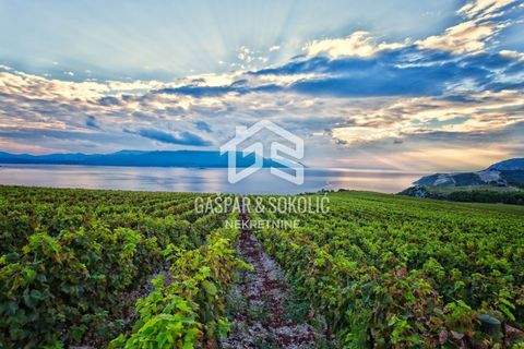 Split Grundstücke, Split Grundstück kaufen