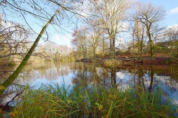 Wer hat schon so eine Nachbarschaft!