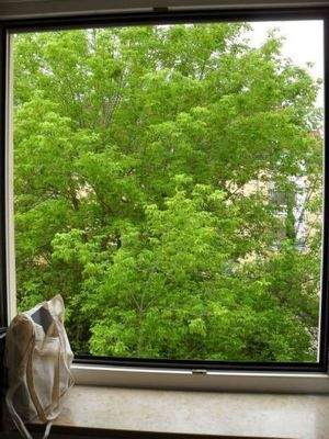 Blick von der Wohnküche in den Gemeinschaftsgarten