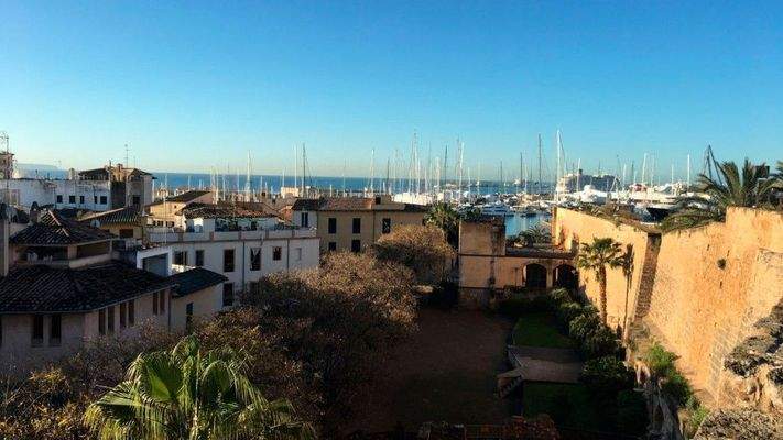 apartamento alquiler en la Lonja Mallorca (2)