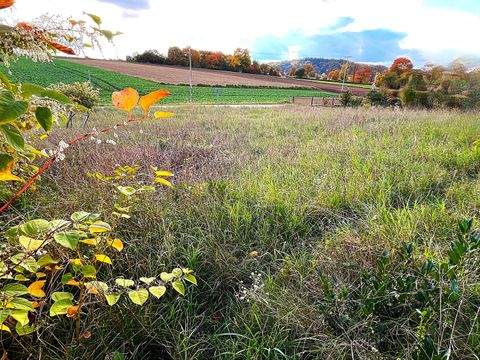Zeitlarn Grundstücke, Zeitlarn Grundstück kaufen