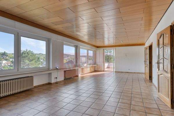 Wohnzimmer zur Terrasse hin