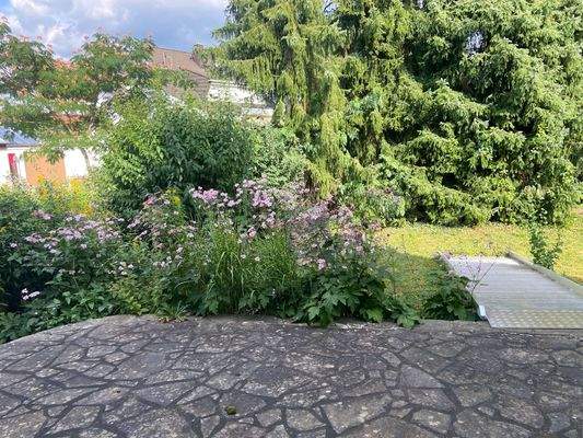 Die Natur als Nachbar