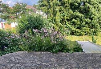 Die Natur als Nachbar