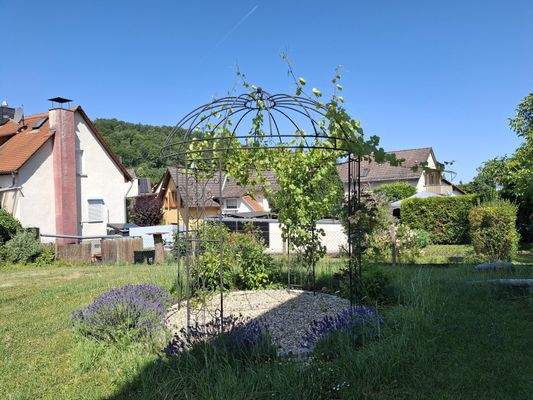 Gartenbereich mit Weinlaube